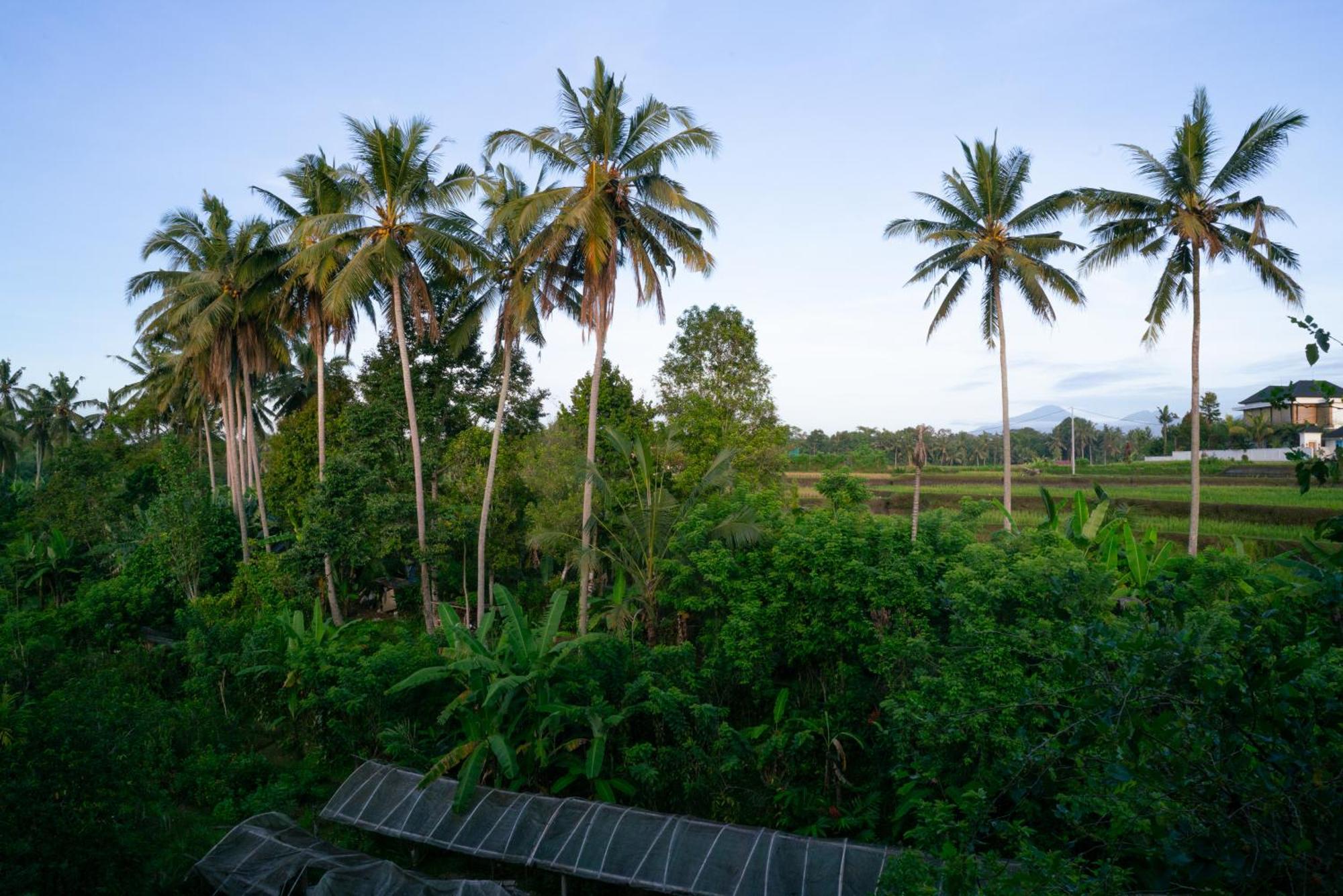 Karang Lila Bhuana Ubud Exteriör bild